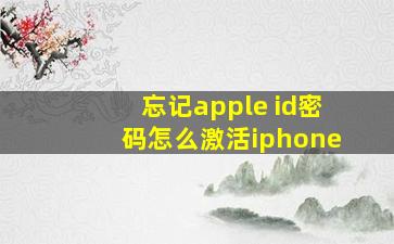 忘记apple id密码怎么激活iphone